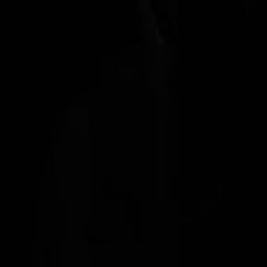 Meet your Posher, True